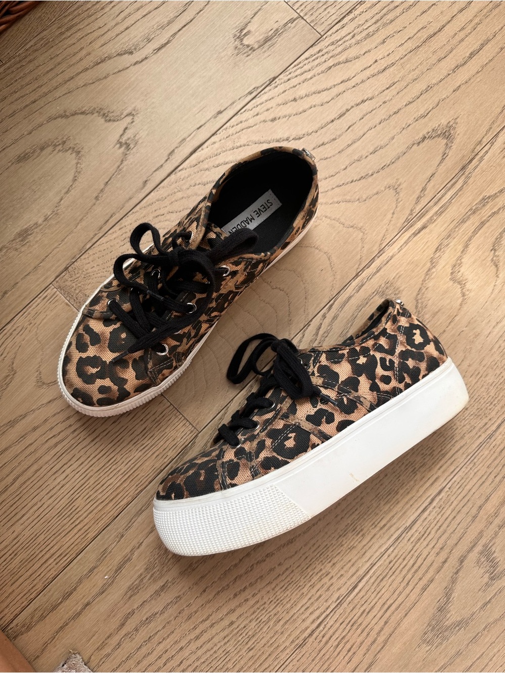 Steve Madden Emmi Canvas Leopard Print Platform Sneakers - size 9
